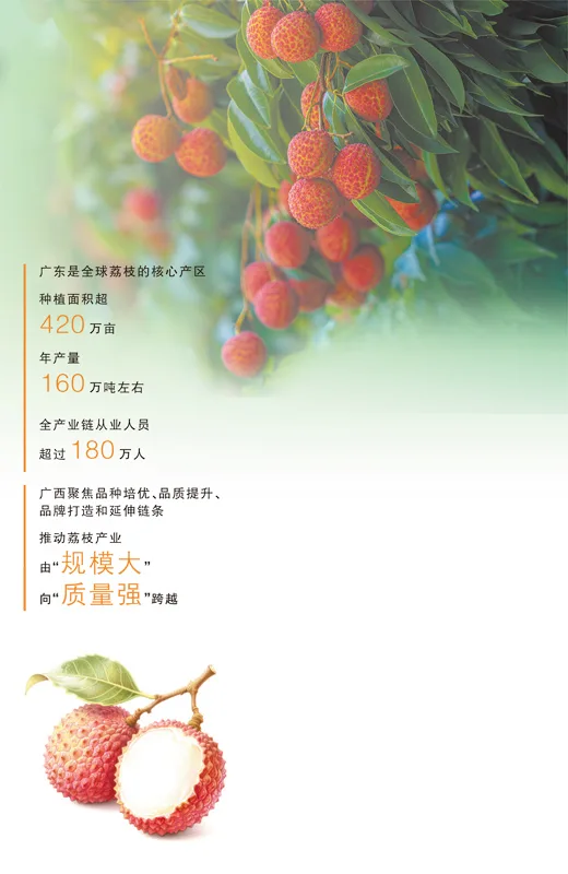 一颗荔枝的“含新量”(三餐四季)