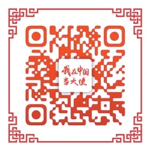“中国着眼当下，更心系未来”（我在中国当大使121） - 配图2