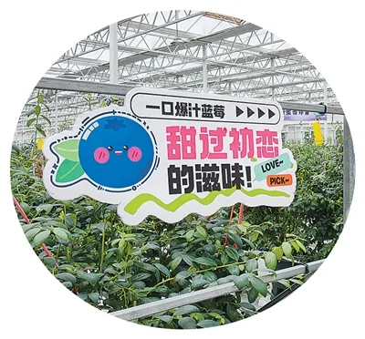 在兴安盟,遇见22℃的夏天 - 配图3