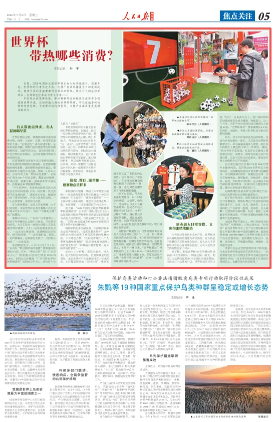 世界杯带热哪些消费？