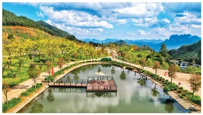 一场产业与生态的协同突围