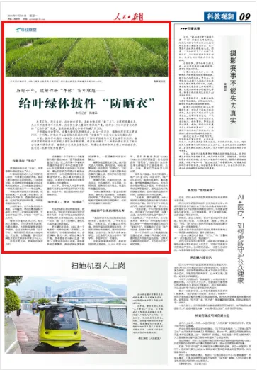 给叶绿体披件“防晒衣”(科技瞭望) - 配图2