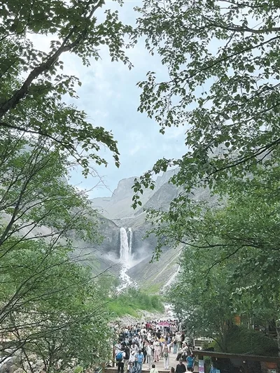 以高水平保护推进林草高质量发展