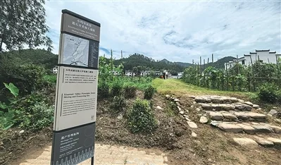 “八项评估全A,那一刻特别激动”(看·世界遗产大会②) - 配图4