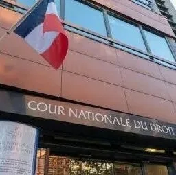 在法国，通过申诉获得难民身份或居留许可的人更多了