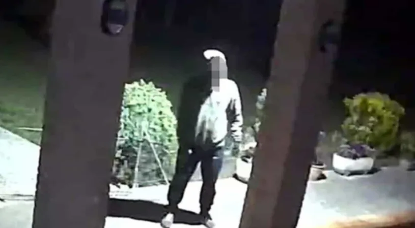 入室盗窃被吓破胆,笨贼报警求救