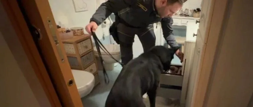 一记重拳！知名华人家族被连根拔起