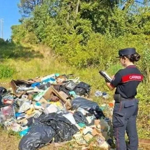 以为偷偷干就没事？三华人摊上大事