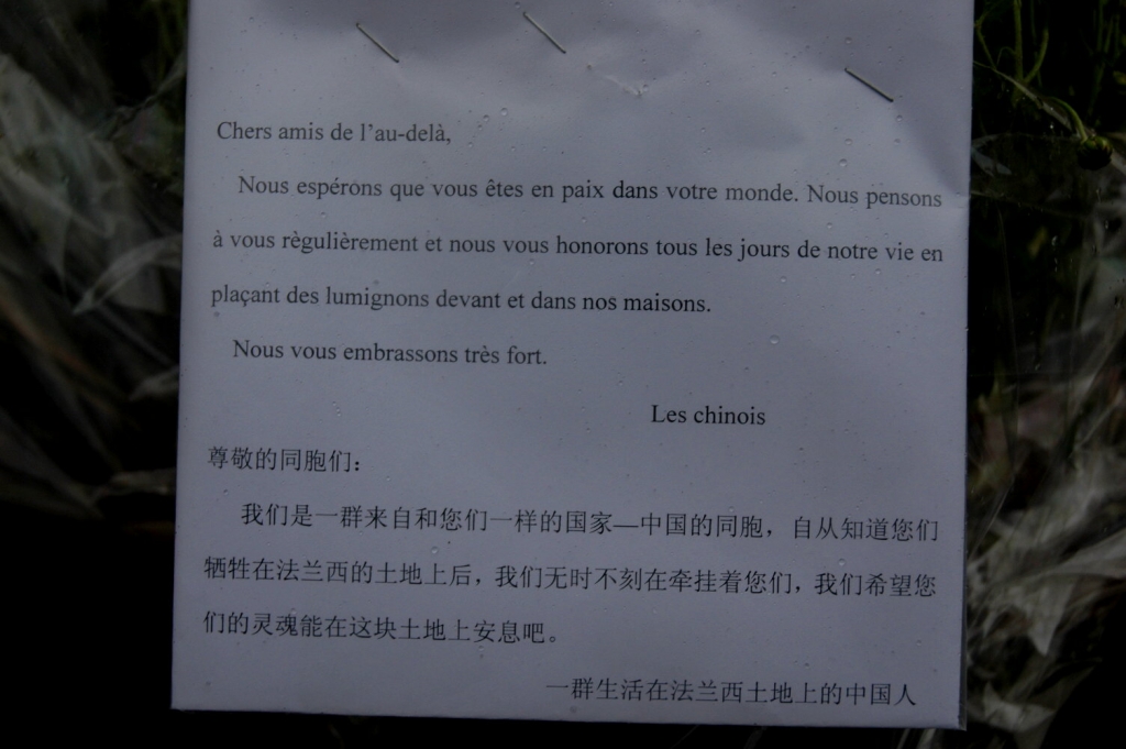 Chinois-14-19-2011-11-14.jpg
